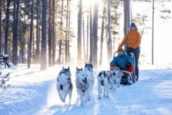 Halti Lasku Jnr Drymaxx Pants -Ecoski Sale Shop ECOR HAL 02 LAS J IMG 5