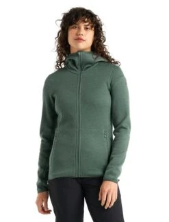 Icebreaker EleMtal Long Sleeved Zip Hood Womens